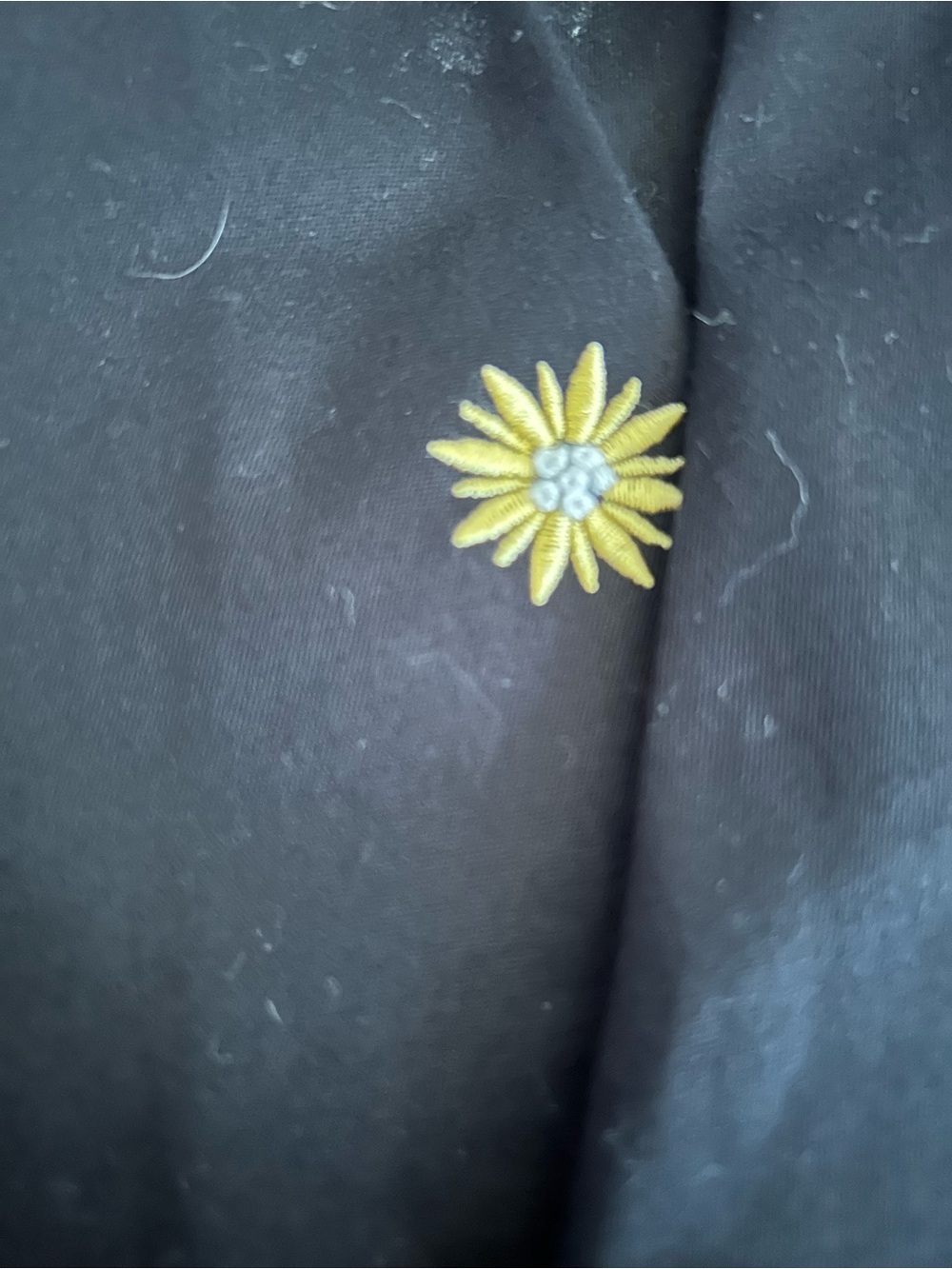 Talbots Embroidered Slacks - Picture 5 of 5